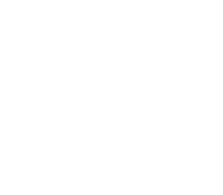 STZ Agropecuária